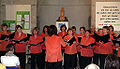 Drachenfest 2010 - art Kapella.jpg